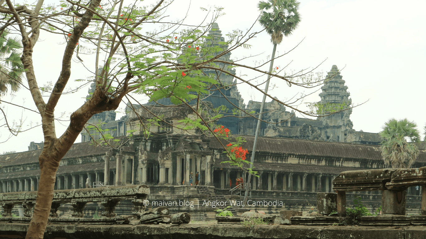 Angkor Wat Travel Guide