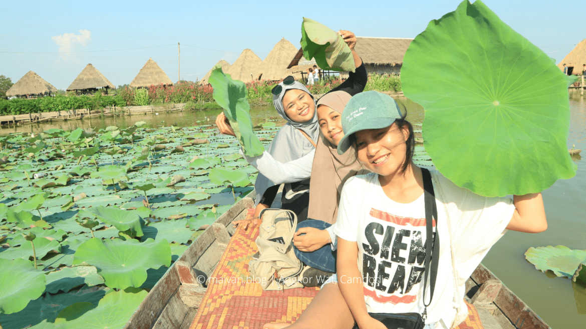 lotus farm