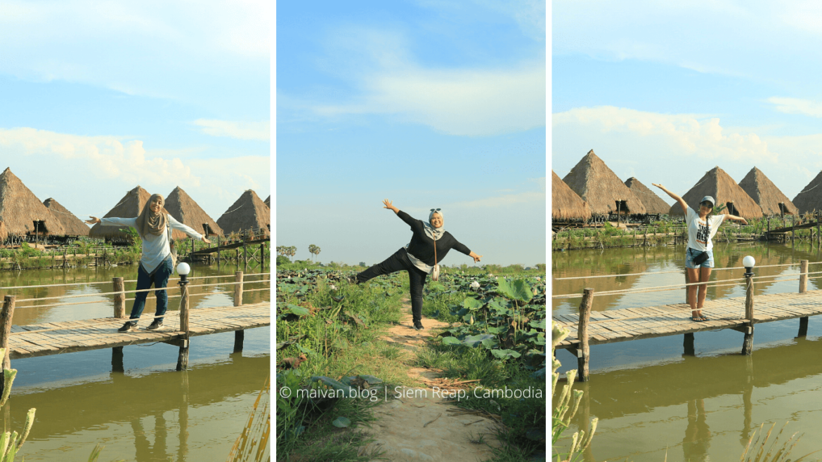 lotus farm siem reap