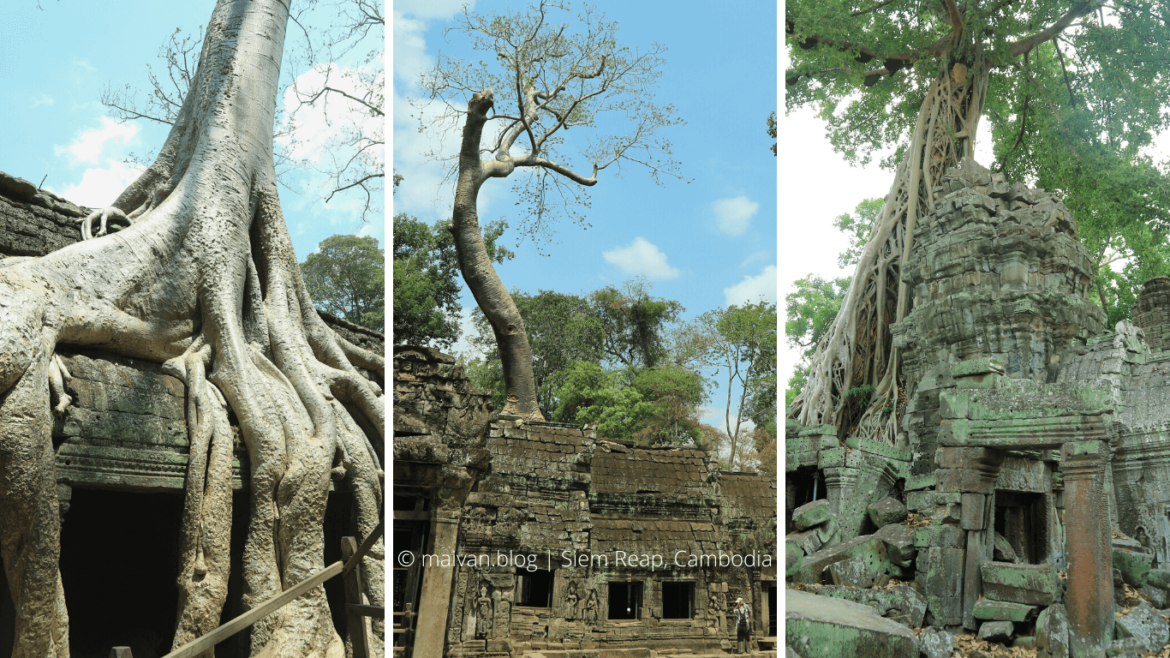 siem reap cambodia