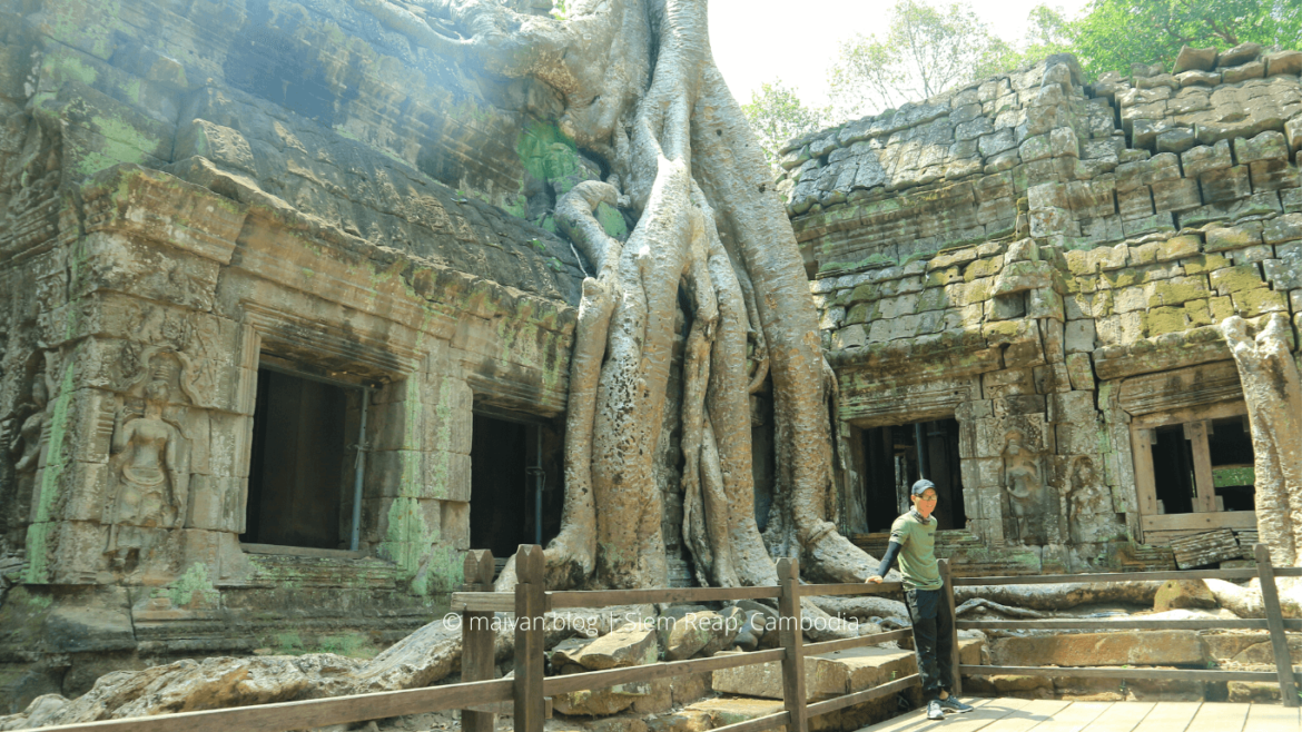 siem reap cambodia