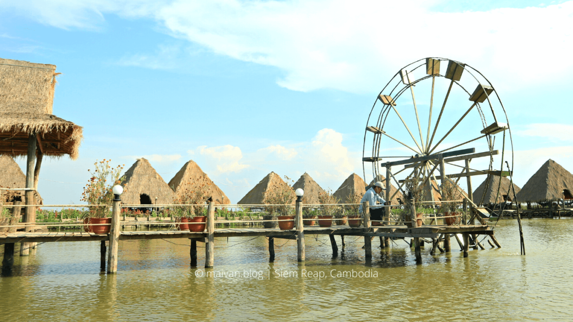 lotus farm siem reap