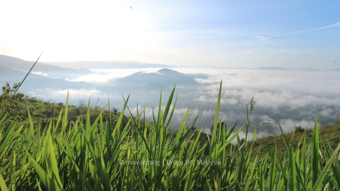 hiking broga hill