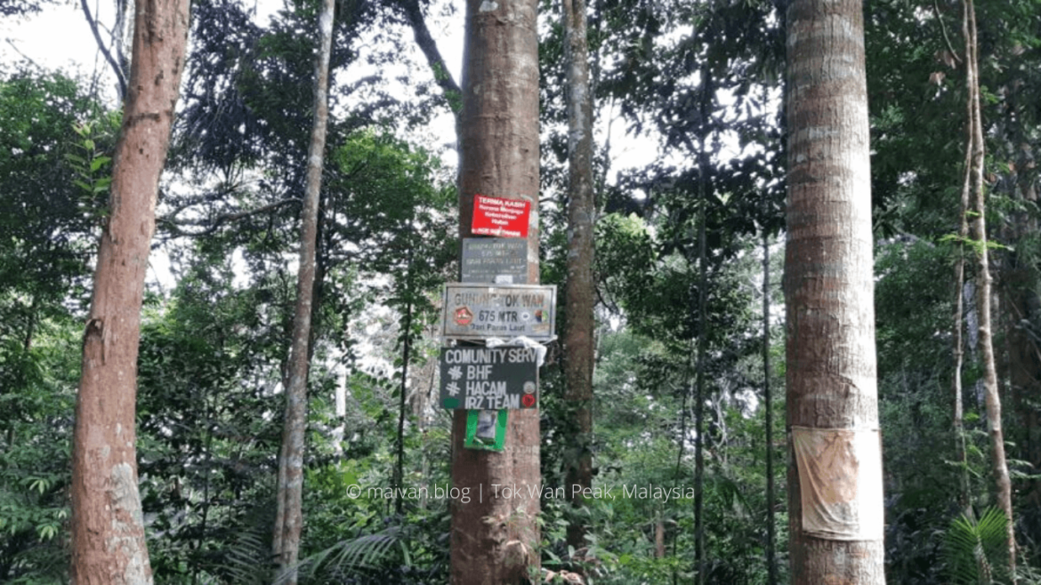 gunung tok wan