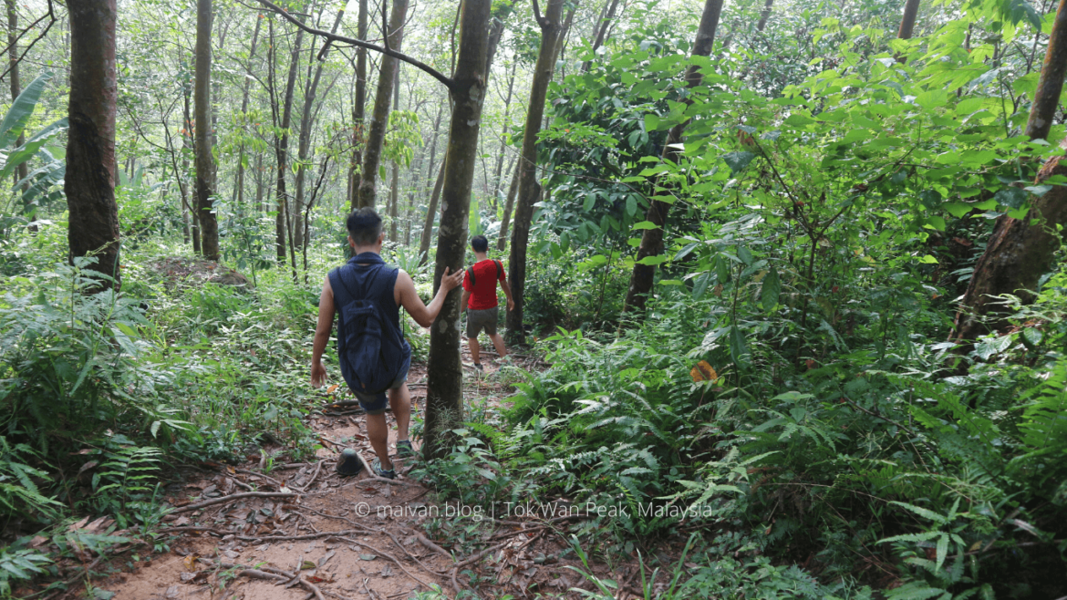 gunung tok wan