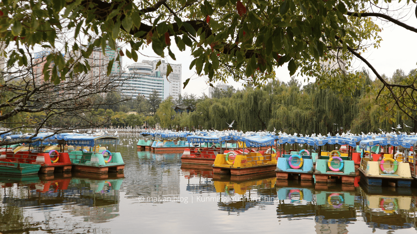 kunming yunnan